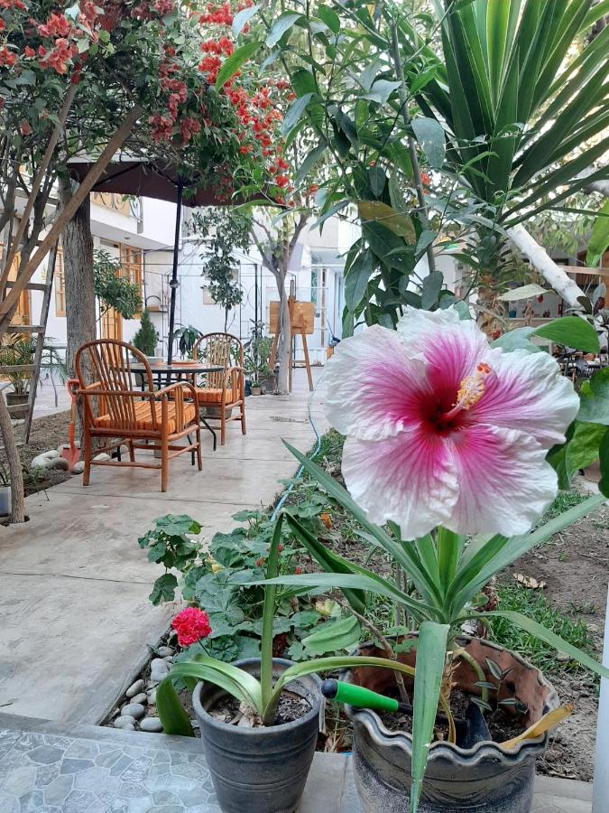 El Huerto Hostel イカ エクステリア 写真