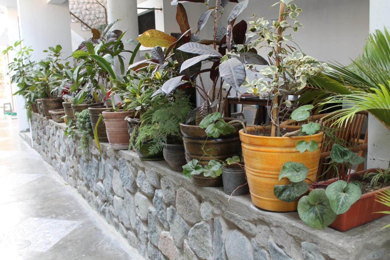 El Huerto Hostel イカ エクステリア 写真