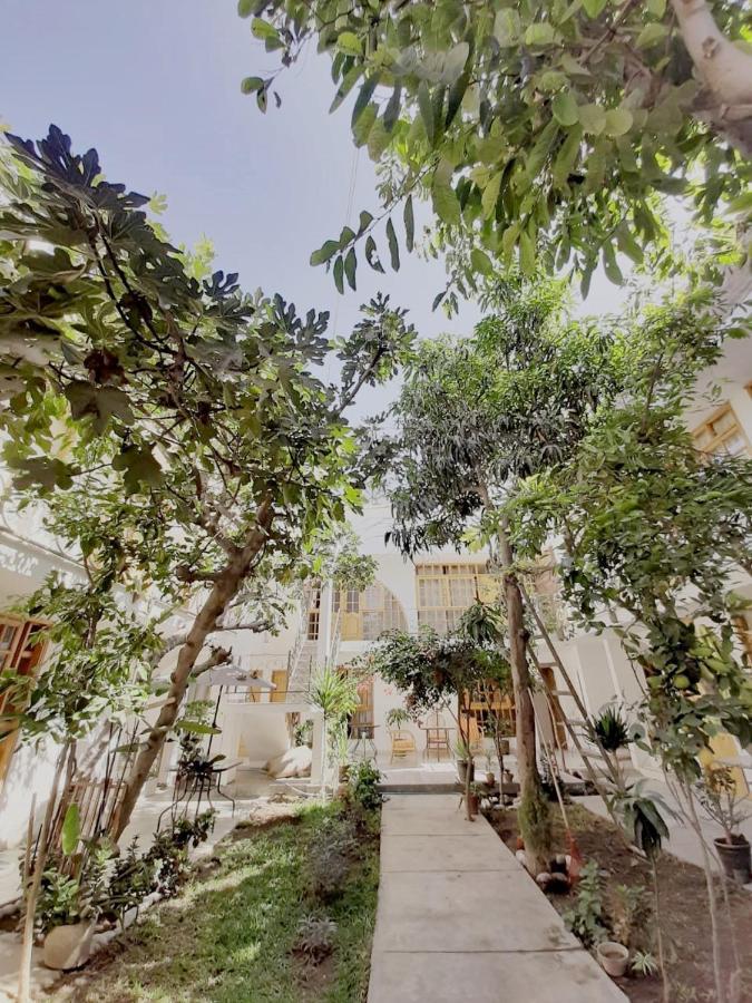 El Huerto Hostel イカ エクステリア 写真